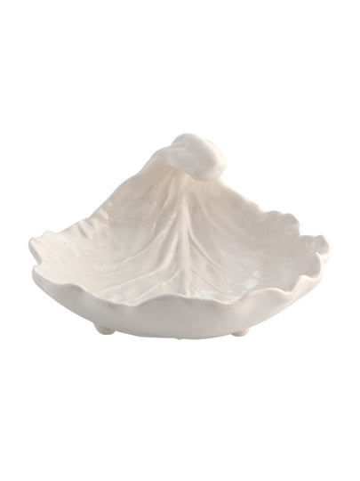 Cabbage Leaf With Curvature Beige