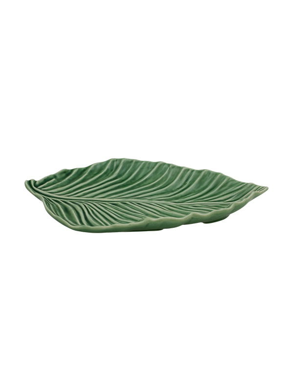 Leaves Sugarcane Leaf Natural