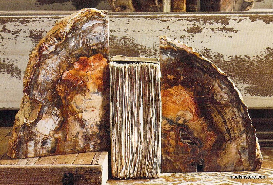 Petrified Wood Bookend Pair Large