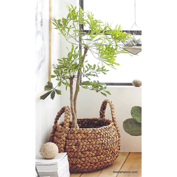 Plantana Baskets